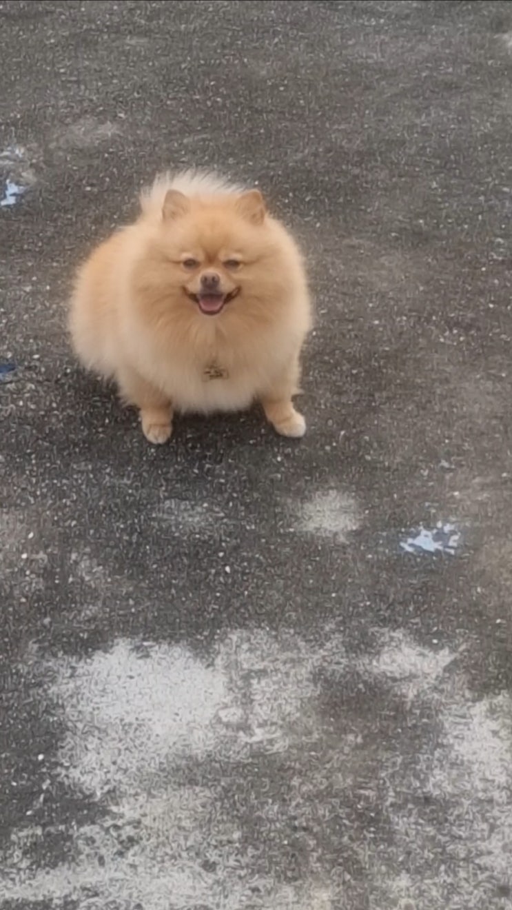  오늘은 옥상에서 놀았어요