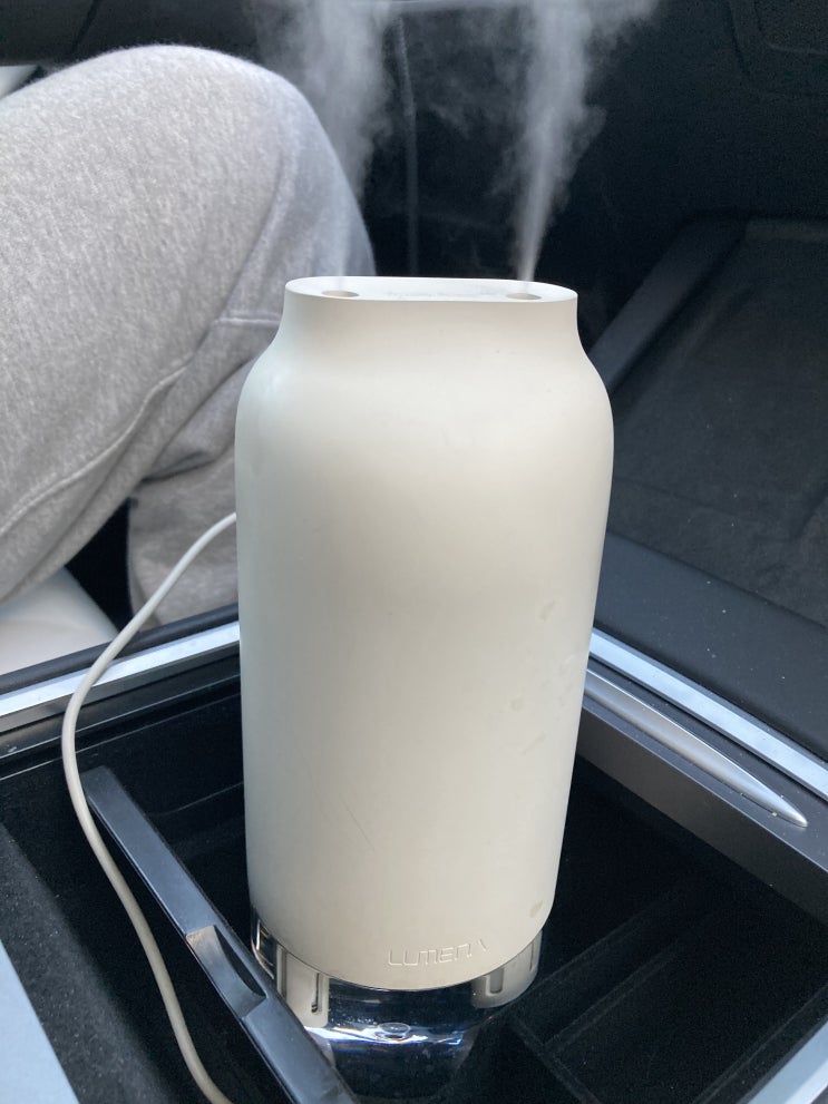  테슬라와 찰떡 궁합 가습기! 크림 가습기가 차 인테리어를 산뜻하게 해요