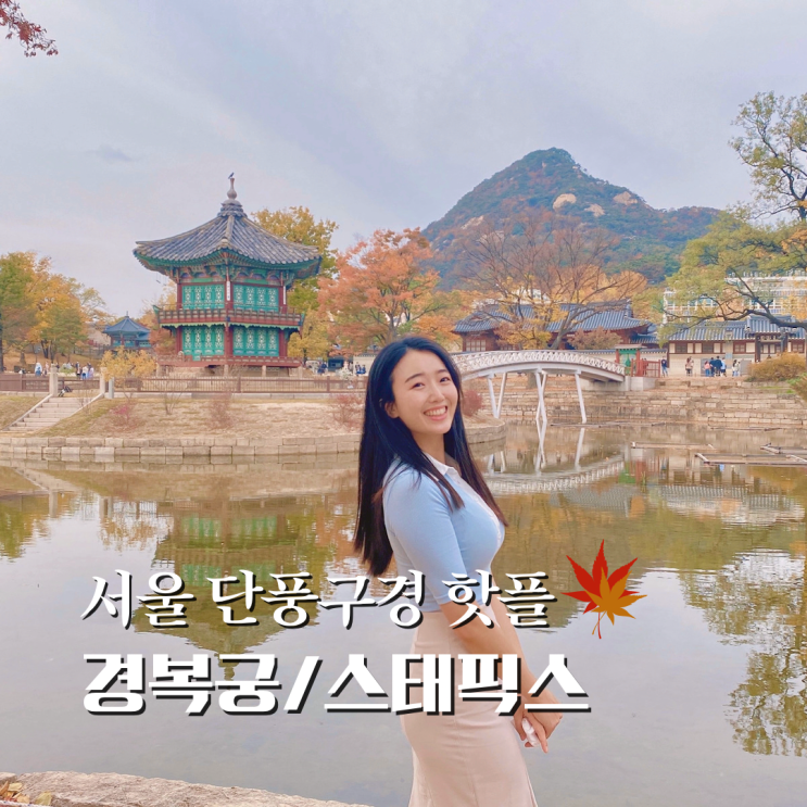  서울 단풍 구경 경복궁 돌담길, 스태픽스에서 가을 향기 물씬 느껴봐요