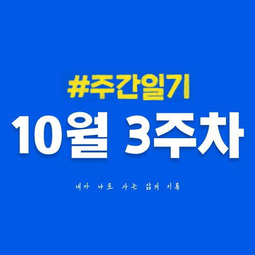  10월 3주차 | 만년필이 생기고 나서 아날로그 기록이 좋아졌다