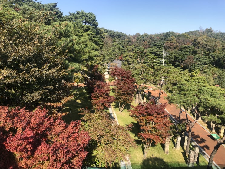  주중일기 우리옛돌박물관 길상사 산책