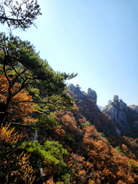  가을 단풍 서울산 도봉산 여성봉 오봉 송추계곡 살방살방 등산일지