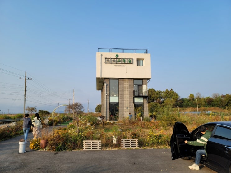  옛정취가 물씬 풍기는 시장과 강화교동도 핫플 카페여행, 대룡시장과 카페교동숲