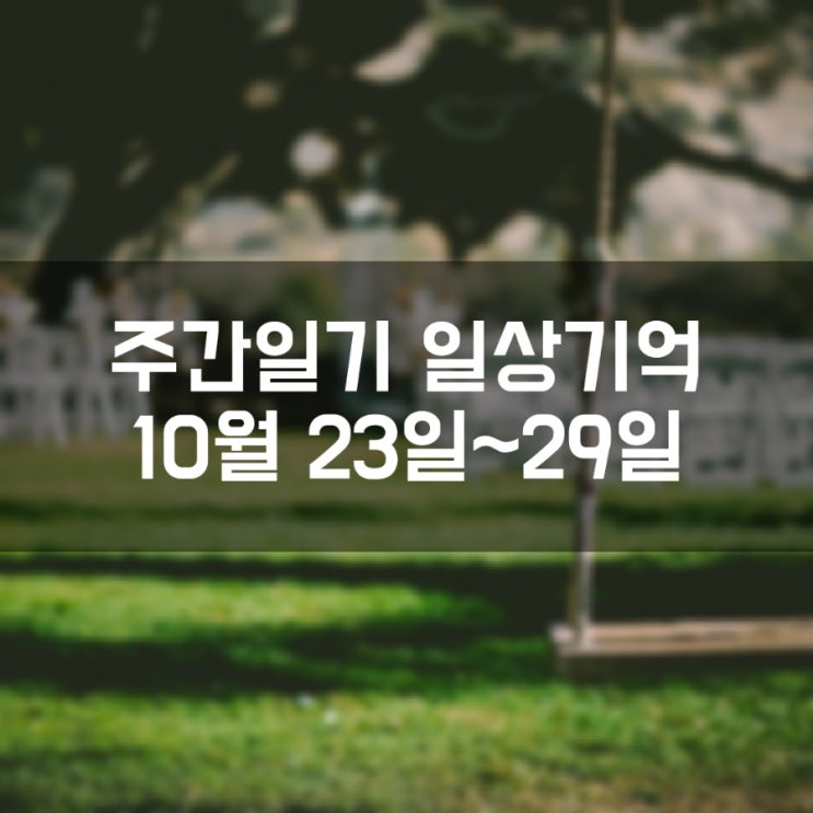 [주간일기] 일상기억 (10월 23일 ~ 10월 29일)