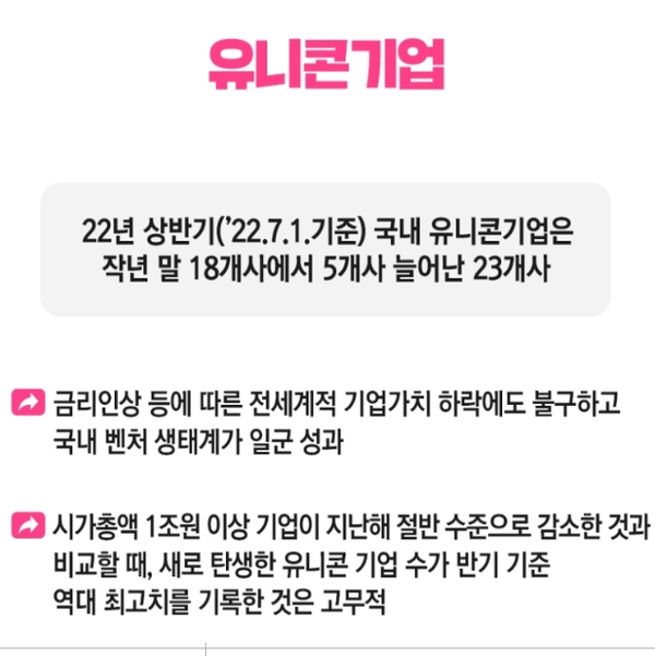 22년 상반기 국내 유니콘 기업(비상장 스타트업 23개사) 현황