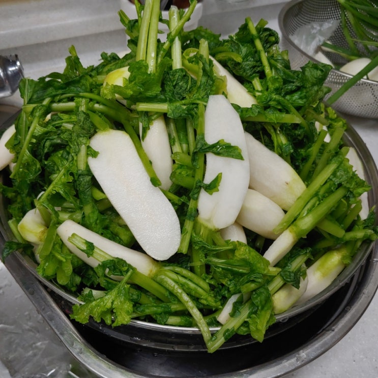  총각김치도 담고, 화분에 물도 주고, 맥주도 한잔 하고 여유로운 일상들 기록해봤어요^^