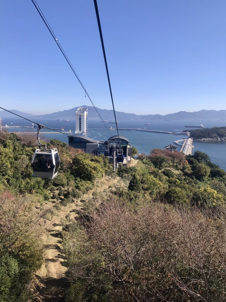 여수 가볼만한곳 여수해상케이블카 타고 걸어서 오동도까지