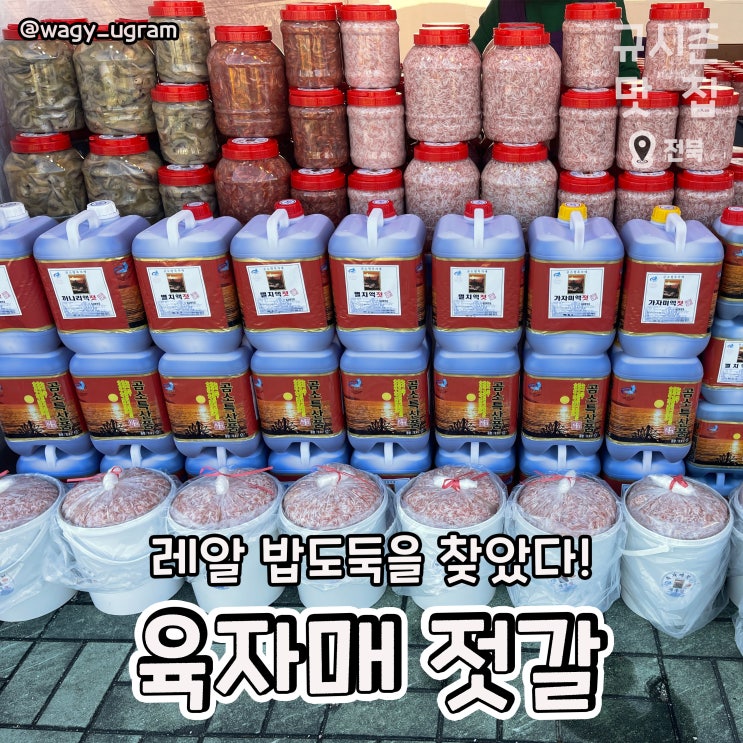  부안 젓갈 맛집 곰소 육자매 젓갈 리뷰 (feat. 전주 국제발효식품 엑스포)