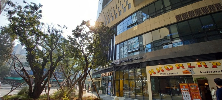  부천힐스테이트맛집  꼬알라파이 호주뉴질랜드파이전문점상륙, 음식포장 후 먹을곳없을때 먹는방법