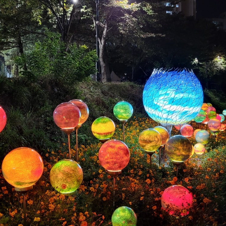  2022 노원달빛산책/당현천/서울 가볼만한 곳/중랑천 코스모스/중랑천자전거길/당현천자전거길