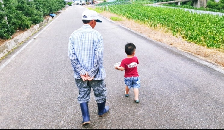  나의 살던 고향은 꽃피는 산골마을, 청송 가는 날