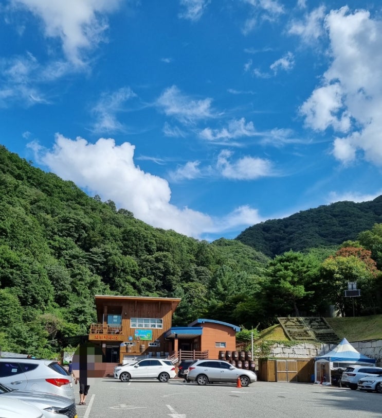  무주 가볼 만한 곳 무주 머루 와인 동굴 와인 맛집