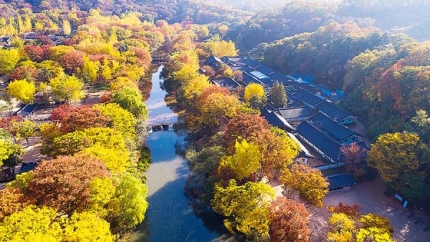  테마파크 단풍 명소 BEST 3, 에버랜드 단풍 드라이브, 서울랜드 가을단풍길, 베어트리파크 단풍축제