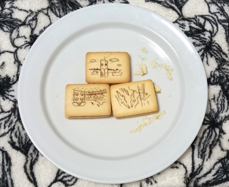  영준목장요거트와 일본쿠키 타카라제과 요코하마버터크림샌드비스킷