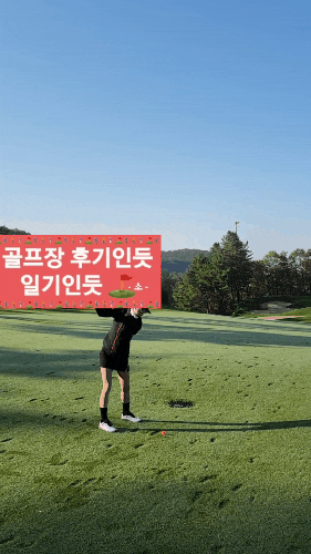  흘러내리지 않는 중목양말 추천(PICO 모노 기본 중목 양말)