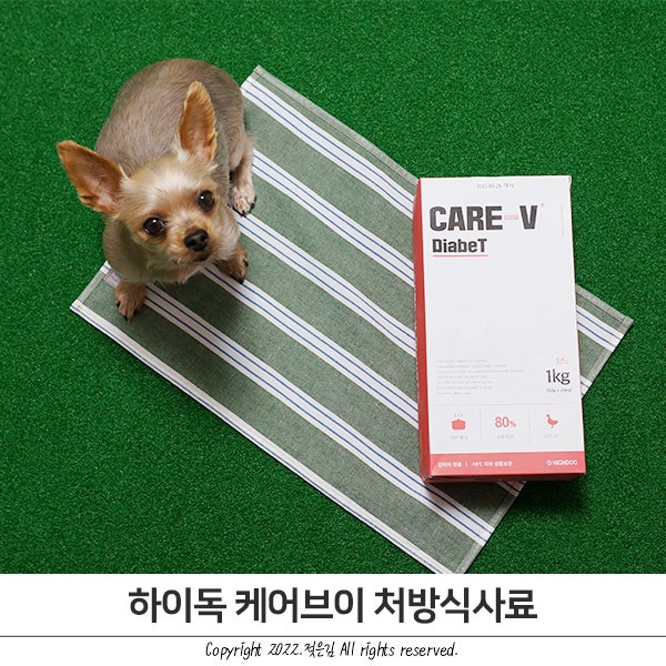 방이가 잘 먹는 처방사료 하이독 케어브이 다베트 방이가 잘 먹는 처방사료 하이독 케어브이 다베트
