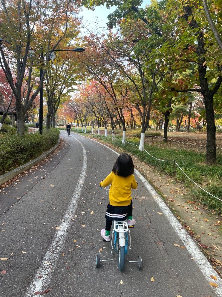 경기도 아이와 가볼만한 곳, 일산호수공원 자전거대여 하세요.
