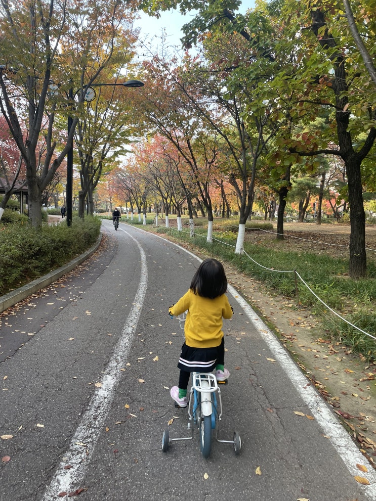  경기도 아이와 가볼만한 곳, 일산호수공원 자전거대여 하세요.