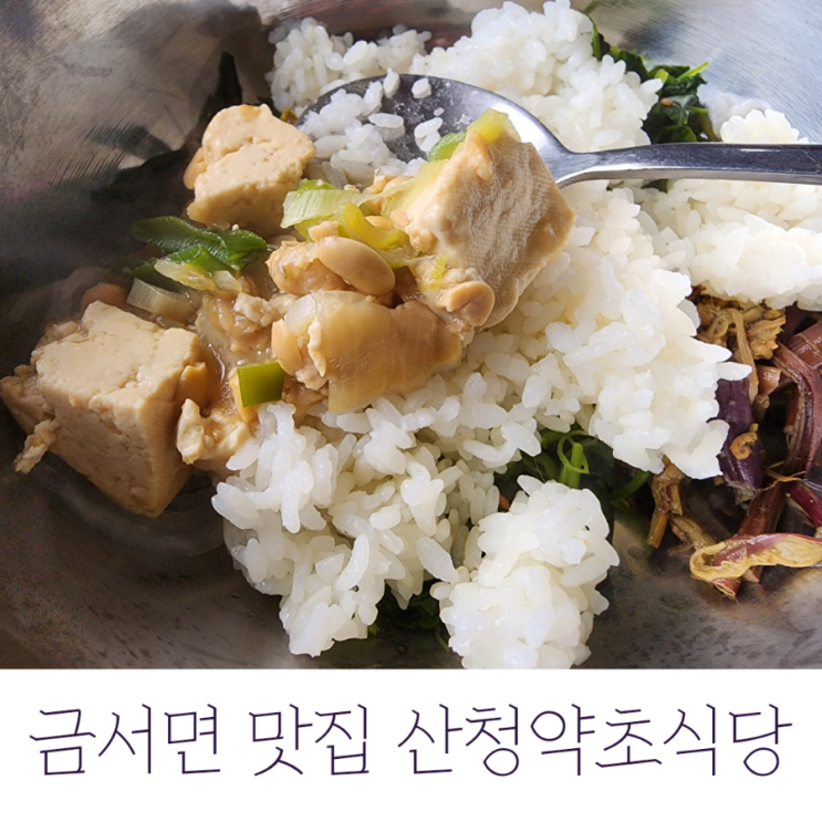  산청약초식당, 동의보감촌 주변 금서면 맛집