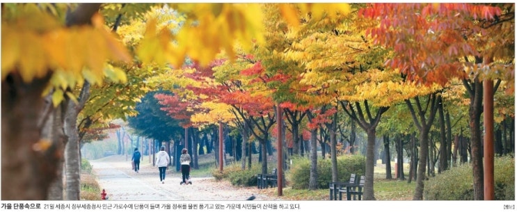 10월22일-자금 블랙홀 은행채. 獨, 장작이 불티나게 팔린다. 공기관 매각계획. 삼양라면 가격인상. 美,양자컴·AI까지 수출통제. 태양광 전기차 솔라카. 삼성전자 재고 52조원.