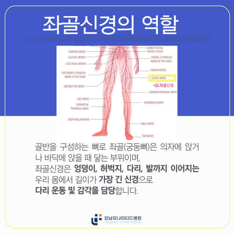 좌골신경통 진료과와 치료 선택 시 고려할 점 : 네이버 블로그