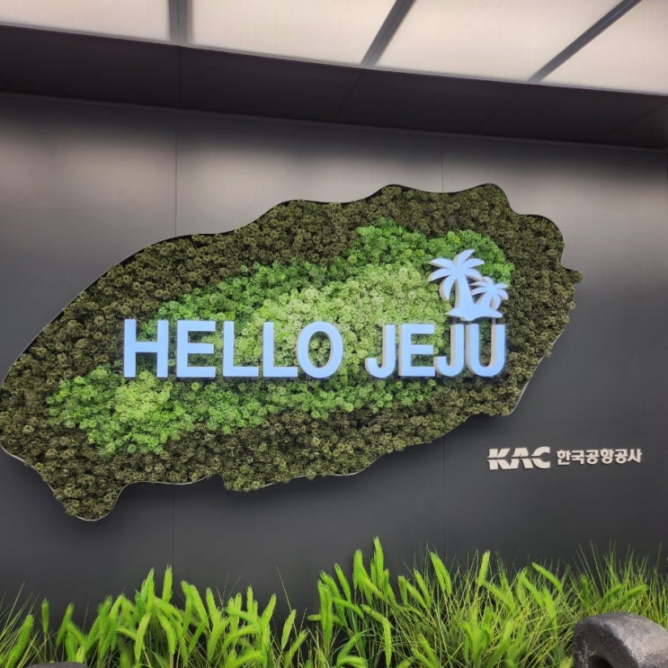  주간일기 제주여행!