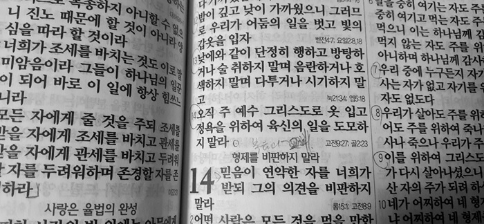  예수 그리스도로 옷 입고 정욕을 위하여 육신의 일을 도모하지 말라