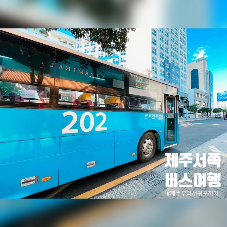  202번 버스 타고 제주도 반바퀴 - 제주부터 서귀포까지 1,150원으로 여행하다가 스타벅스에 간 이야기