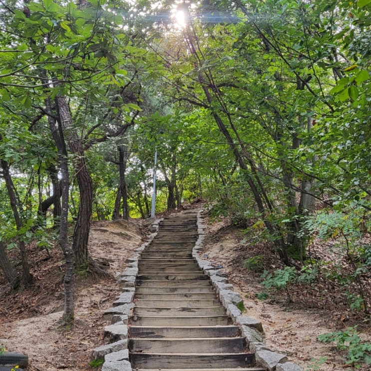  서울 중랑구 봉화산 둘레길 왕초보 등산 코스