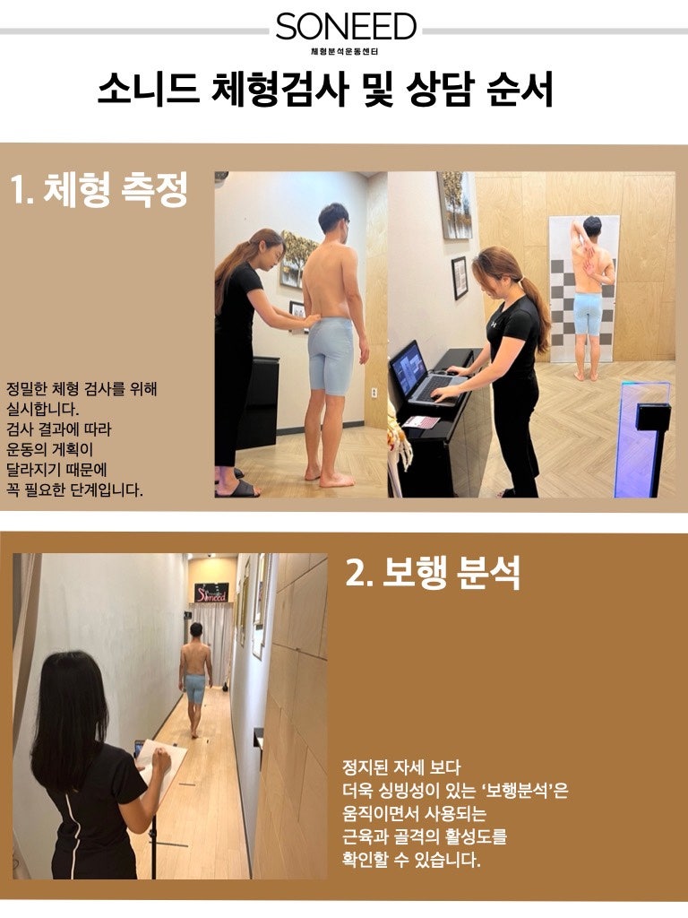 (동탄송라체형교정센터) 버섯나무도?