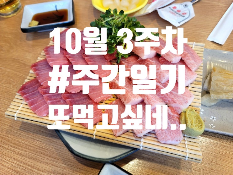  10월 3주 차 주간 일기 나의 일주일간의 기록