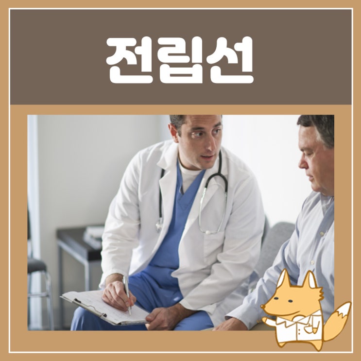  전립선비대증 증상 치료방법 전립소 : 전립선에 좋은 음식