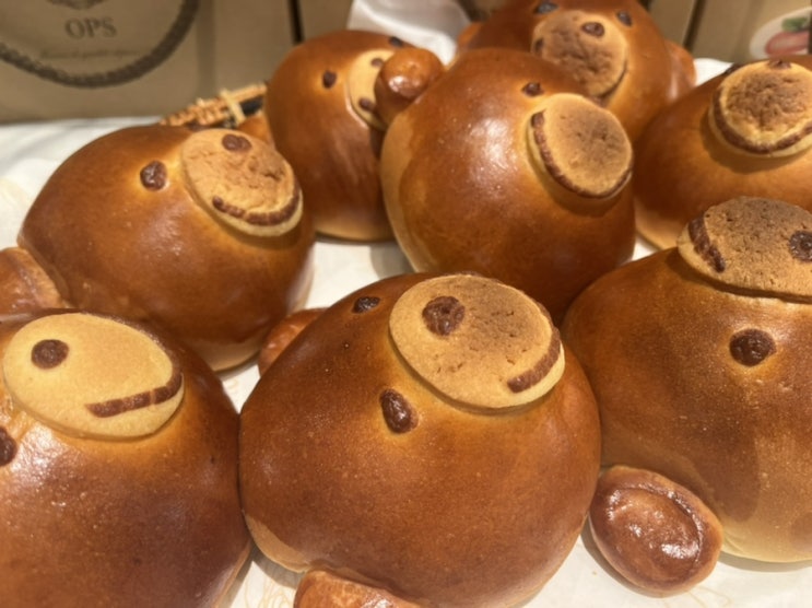  수원 롯데백화점에서 크림빵 찾기