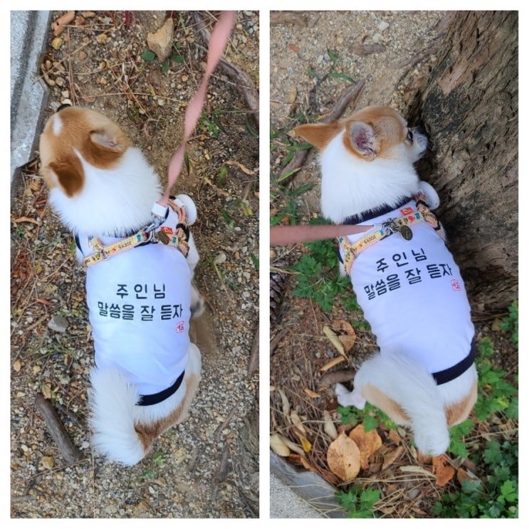  쉬어가는 주간일기