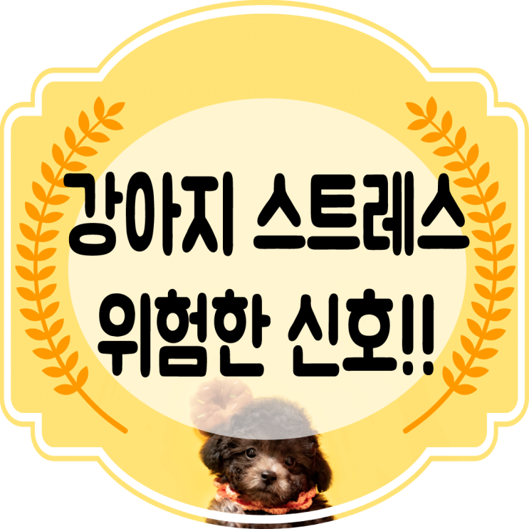  강아지 스트레스 증상 과 원인 해소 방법을 알아보자~!!