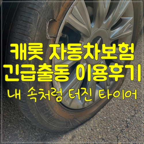  타이어 터짐으로 캐롯 긴급출동 이용했어요