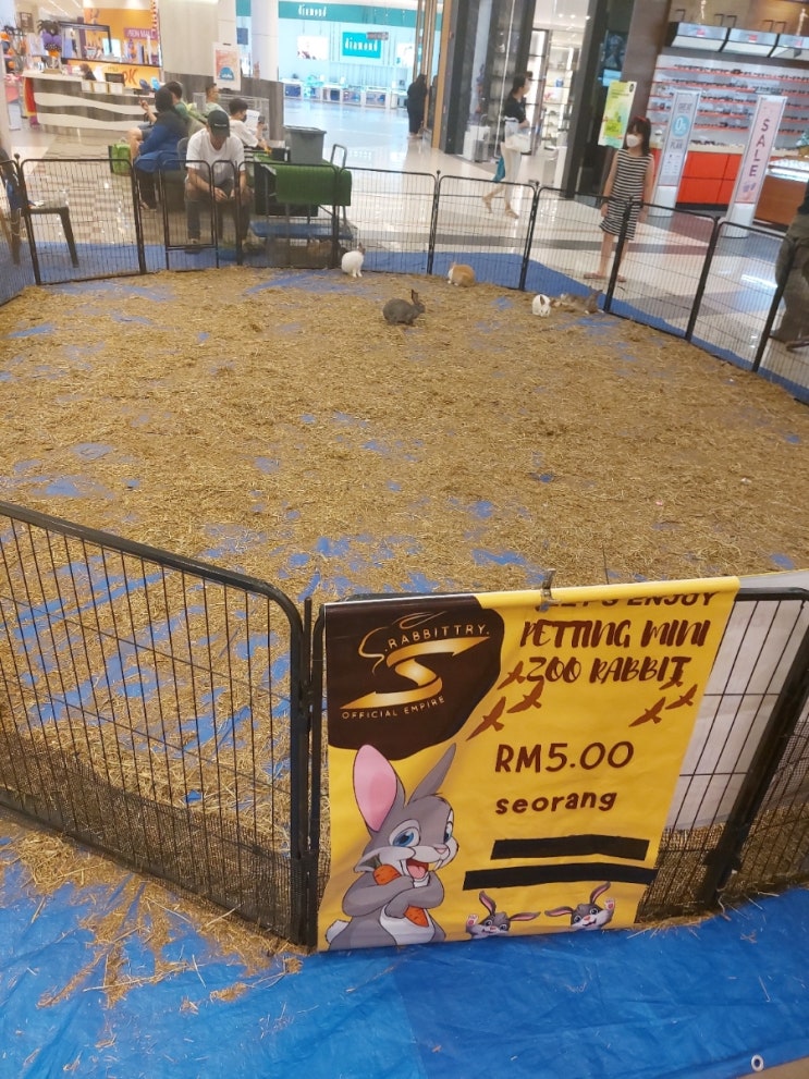 조호바루-토끼먹이주기 체험(테브라우에이온몰)