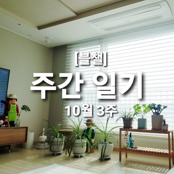  [블챌] 10월 3주 남편 생축 주간 일기