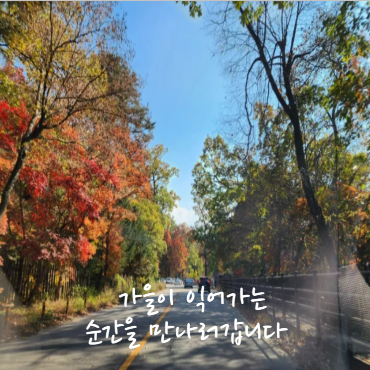  가을이 익어가는 순간을 만나고 싶습니다