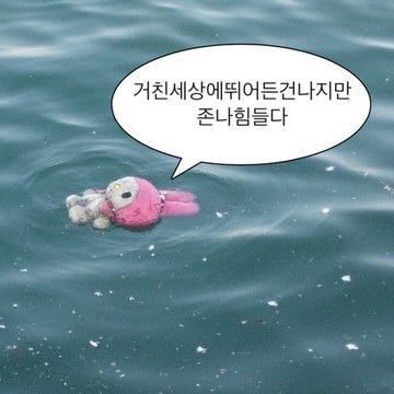10월 3주차 : 인생이 여행이라면 여행사를 고소하겠어