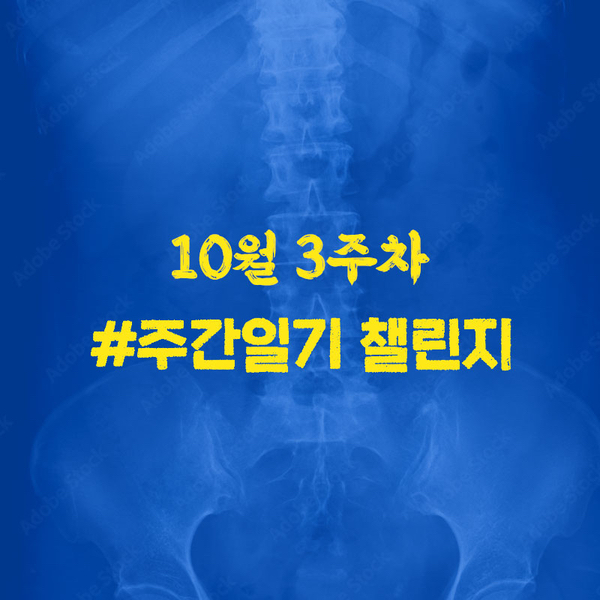  #주간일지 챌린지, 10월 3주차 '허리 박살 주간'