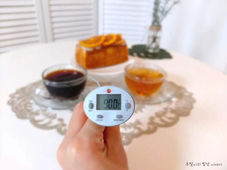  테스토 미니 방수 온도계로 가장 맛있는 커피 온도 찾기: 조리용 온도계 탐침 온도계 추천