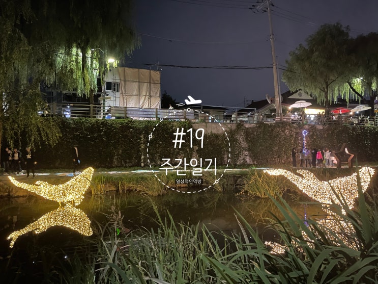  #19  가을은 떠나고싶은날