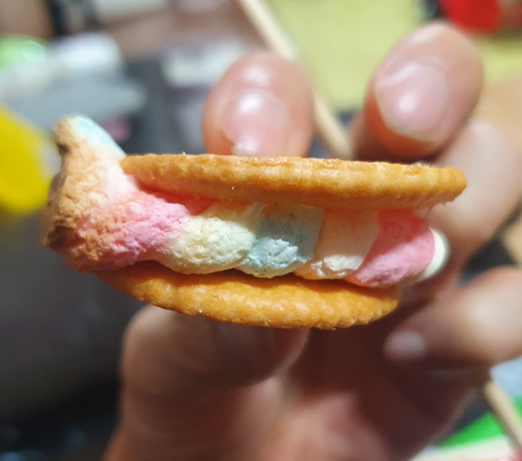 뚱카롱을 아시나요? (부제 : 제카롱) 뚱카롱을 아시나요? (부제 : 제카롱)