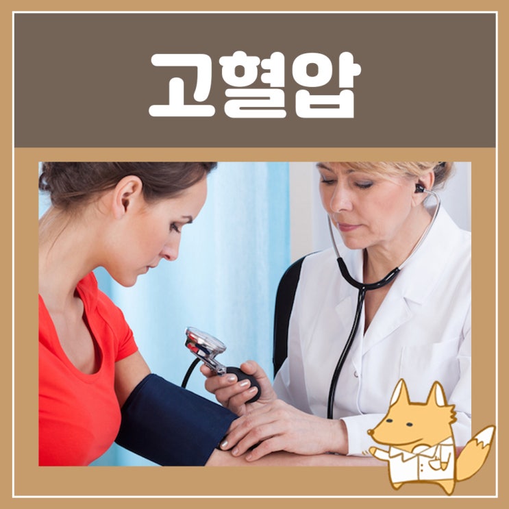  혈압약 처방 고혈압 약 종류 이름 : 인데놀정 다이크로짇정 라식스정 코자정