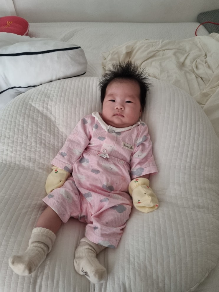  모찌아빠's 이번주 일기