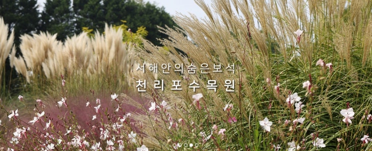  [10월 축제] 태안 천리포수목원 가을축제 기본정보