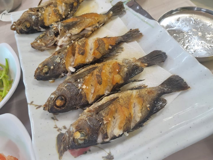  거제도맛집 송월학횟집 뽈락구이 뽈락매운탕