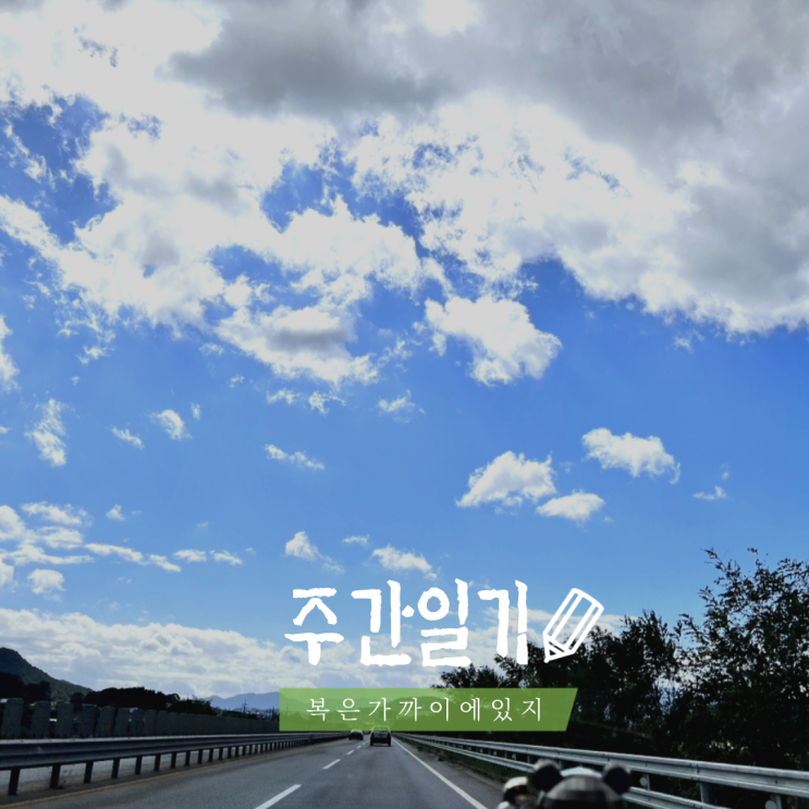  10월 셋째주, 싸이월드 복구 에프고구마 김장김치