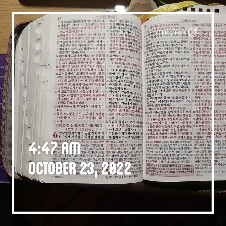 10월 플로깅,프레셔스킹 -296